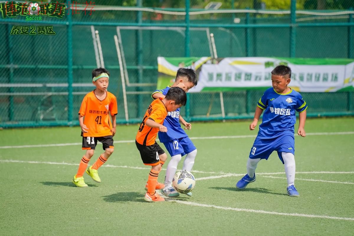 2018年中国足球协会幼儿足球研讨会在京召开 2018年中国足球协会幼儿足球研讨会在京召开